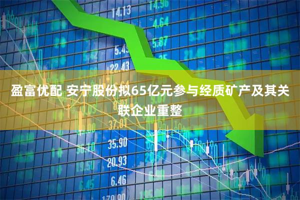 盈富优配 安宁股份拟65亿元参与经质矿产及其关联企业重整