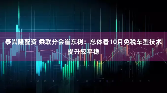 泰兴隆配资 乘联分会崔东树：总体看10月免税车型技术提升较平稳