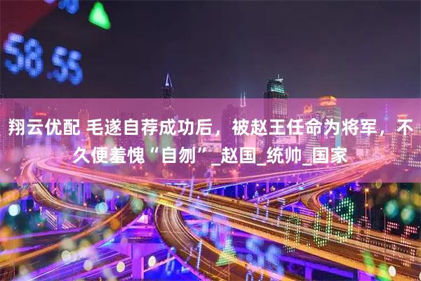 翔云优配 毛遂自荐成功后，被赵王任命为将军，不久便羞愧“自刎”_赵国_统帅_国家