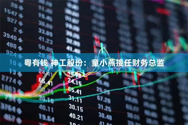 粤有钱 神工股份：童小燕接任财务总监